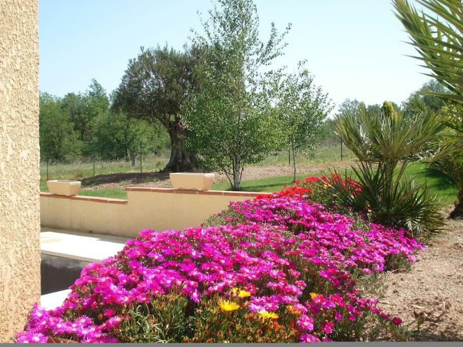 Gîte le châlet des milles et un chemins Castelnou Extérieur photo